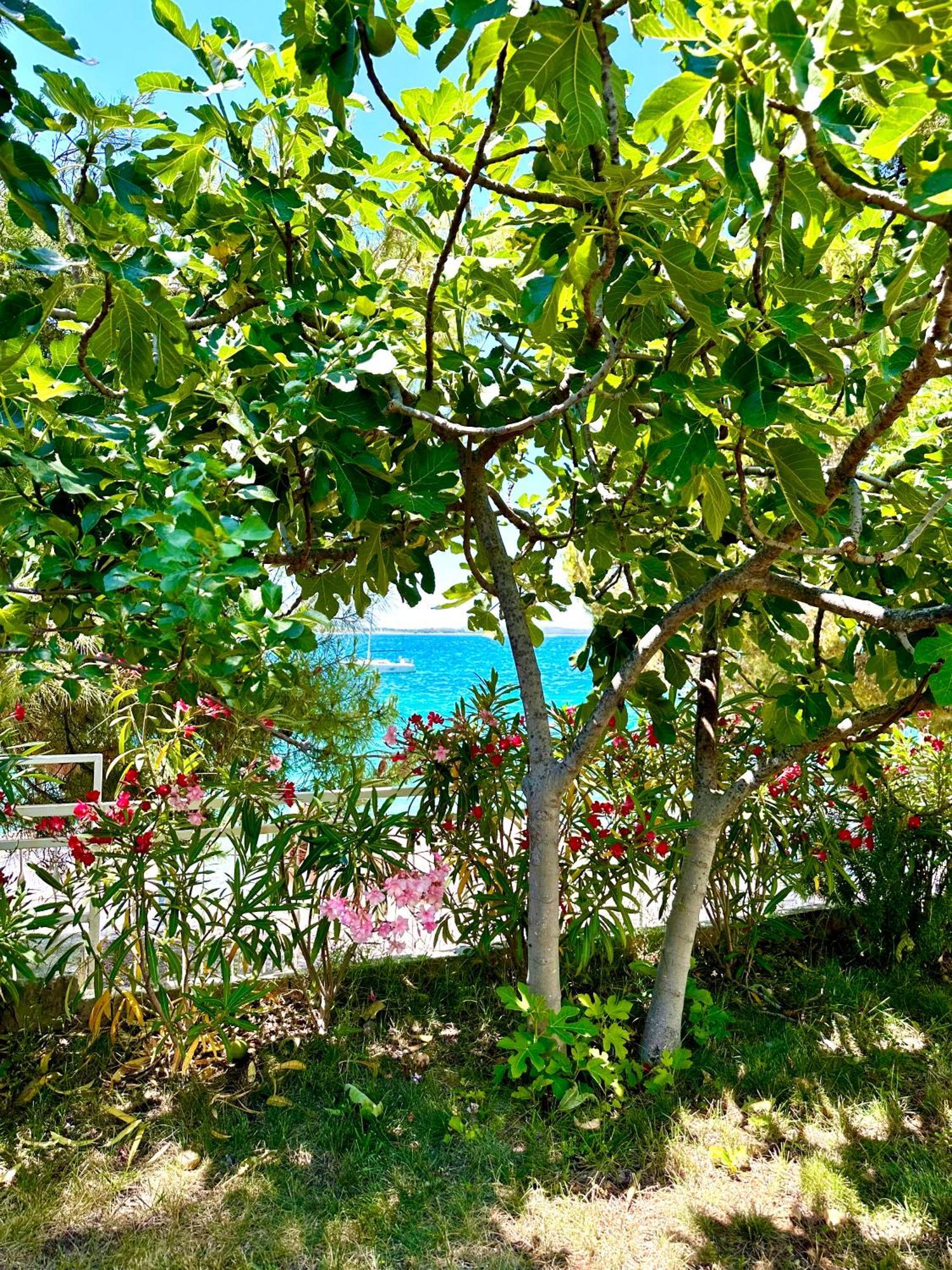Perla & Palma Villa Zaboric Exterior photo